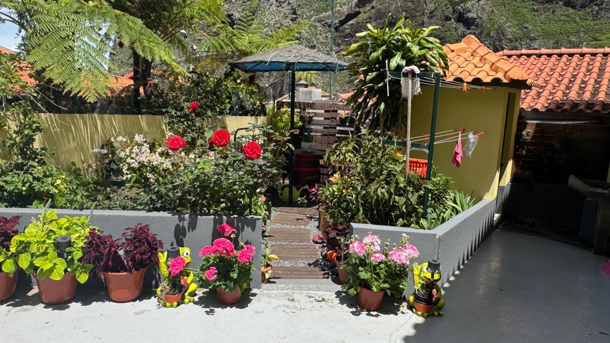 Terra Cha Cottage,Feel Home, Sao Vicente  Exterior photo